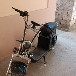 ���� ����, �������, 33 ���� - ��������� 4 ������ 2023