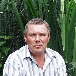 ������, ������, 67 ���