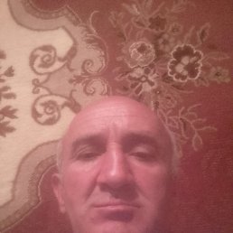 , 34, 