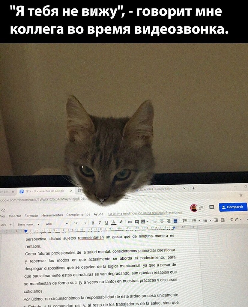    - 26  2024  18:20