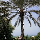 ���� ������, �������� - ��������� 23 ������� 2024 � ������ ����� 2024�