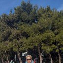 ���� �����, ��������� - ��������� 5 ����� 2025