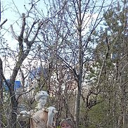 Галина, 63 года, Москва Галина, 63 года, Москва