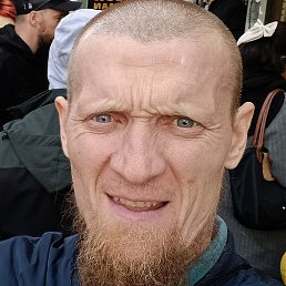 ,  , 43 