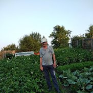 �����, 65 ���, �����������