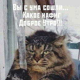 ���� ����, ������, 61 ��� - ��������� 31 ������� 2023