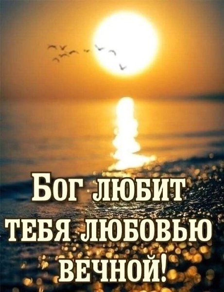  (   ) - 17  2025  15:07