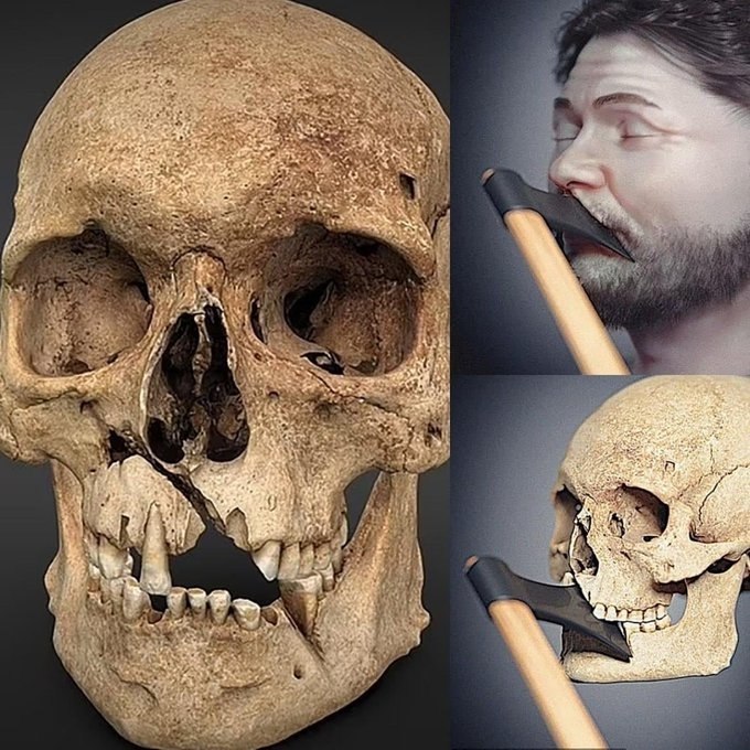  ,   1361      .