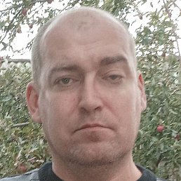 ���������, �������, 47 ���