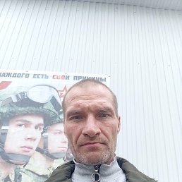 , 42, 