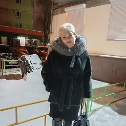 ���� �������, ���������, 49 ��� - ��������� 7 ������ 2026