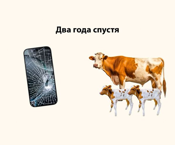 JPG - 14  2025  13:21 - 2