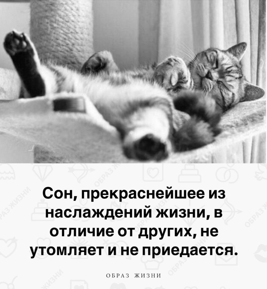Co-Motivation.... . - 3  2024  00:19