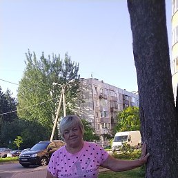 �������, �����-���������, 65 ���