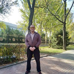 �������, ������, 44 ����