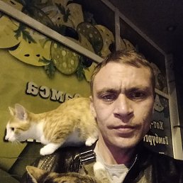 , 37 , 