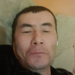 , , 43 