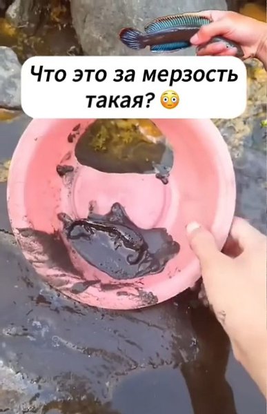      - 2