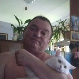 , 54, 