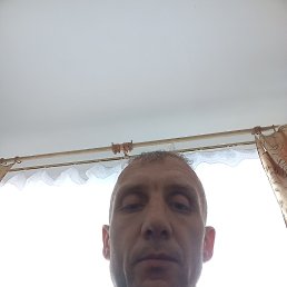 �������, 39 ���, �����������