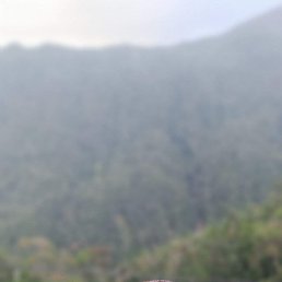 ������, 51 ���, ������