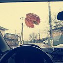 ���� Archi, �������, 28 ��� - ��������� 27 ������ 2026 � ������ ���� ����������