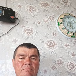  , 44, 