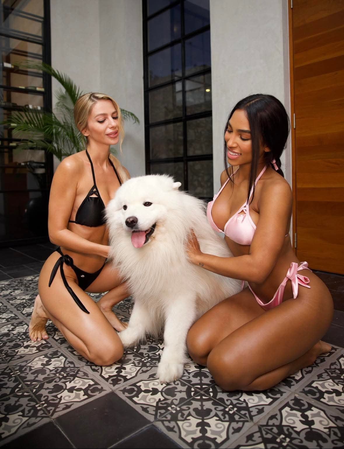   - 12  2025  21:00 - 8