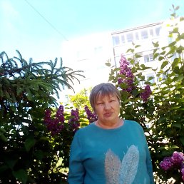 , 61, 