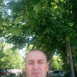 , 58, 