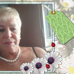 ���� �������, ������, 72 ���� - ��������� 29 ���� 2026