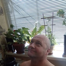 ���� ����, �������, 54 ���� - ��������� 28 ������� 2025