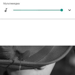 �����, ������, 51 ���