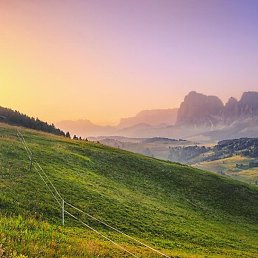 ����, ������, 33 ����