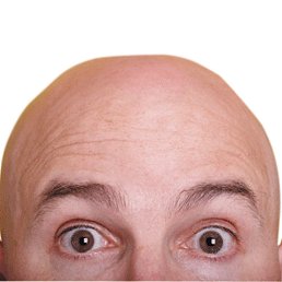 ���� �����, ������������, 54 ���� - ��������� 6 ��� 2025