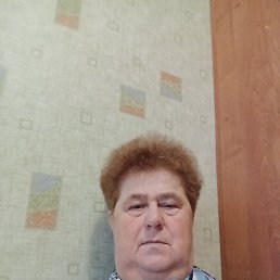 ���� �������, ������, 72 ���� - ��������� 1 ������� 2024