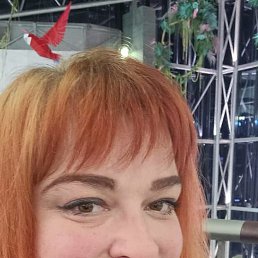 , 37 , 