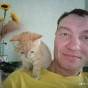 ���� �������, �����������, 50 ��� - ��������� 9 ������ 2023 � ������ ���� ����������