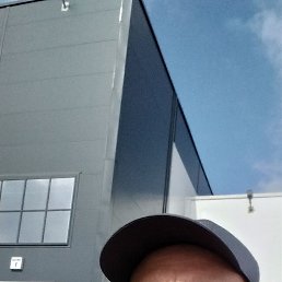 , 41, 