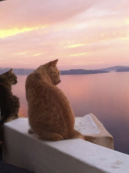 ������ �� ��������� ����� ���� ������ ����� - 8