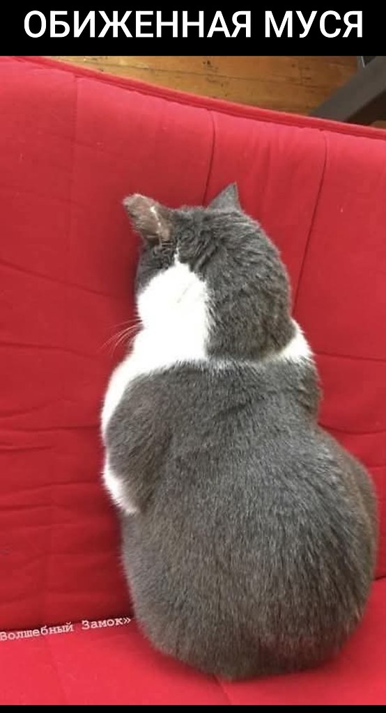 ,      : -     !    .   ...