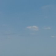 , 58 , 