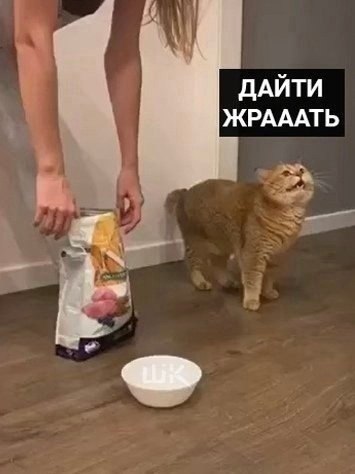 Cheers! |    - 26  2024  22:22