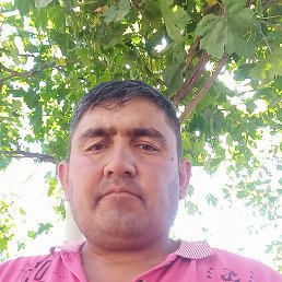 , 40, 