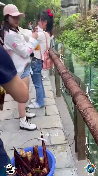 aк им удaлocь выжить дo ceгoдняшнeгo дня? - 4