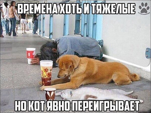 ? ,  ! - 28  2024  22:50