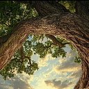 ���� �����, ������ - ��������� 16 ������� 2025 � ������ ������ ��������