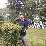 ����, 43 ����, ������������