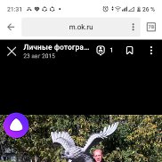 ������, 56 ���, ������