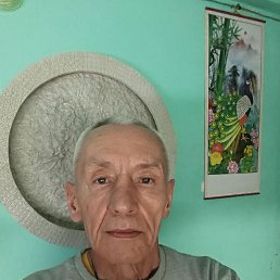 , 67, 